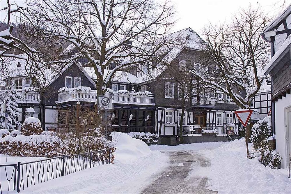 Landhotel Albers Schmallenberg Εξωτερικό φωτογραφία